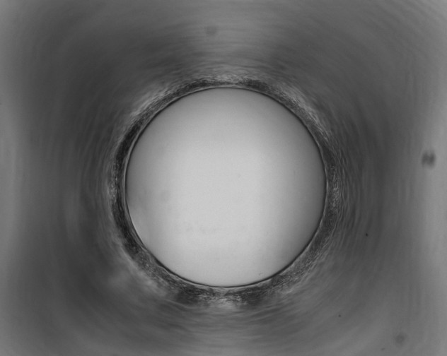 X0000100760683200806190909