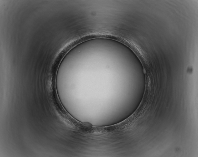 X0000100760684200806190909