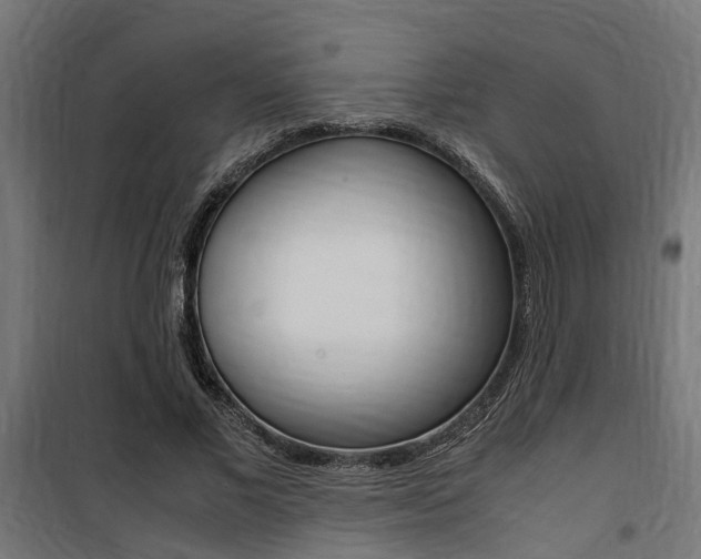 X0000100760685200806190909