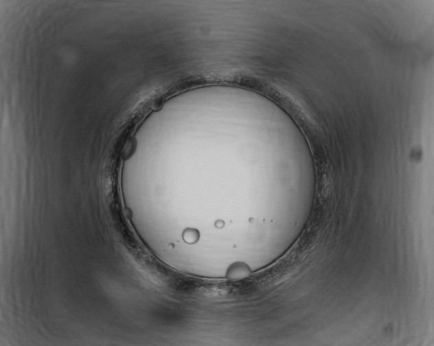 X0000100760687200806190909