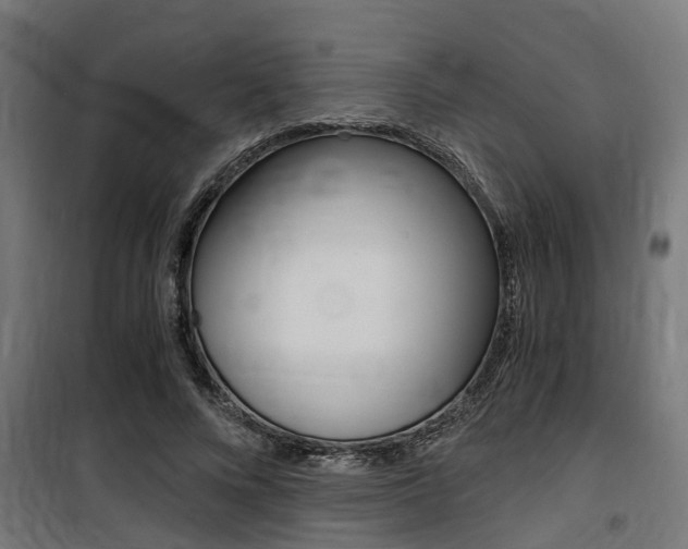 X0000100760688200806190909