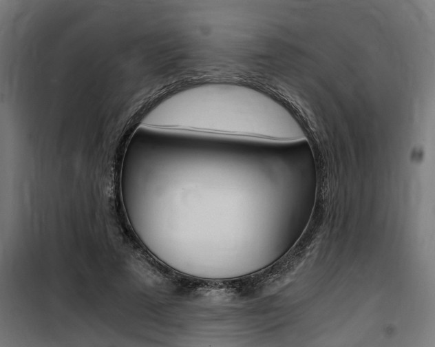 X0000100760689200806190909