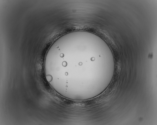 X0000100760691200806190909