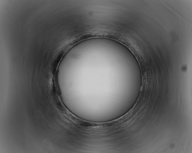 X0000100760692200806190909