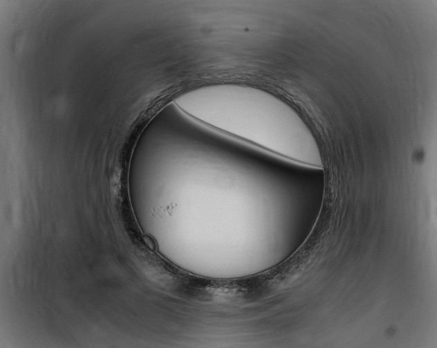 X0000100760693200806190909