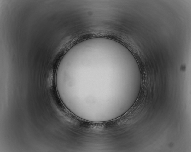 X0000100760694200806190909