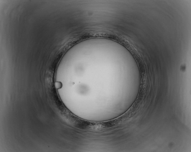 X0000100760695200806190909