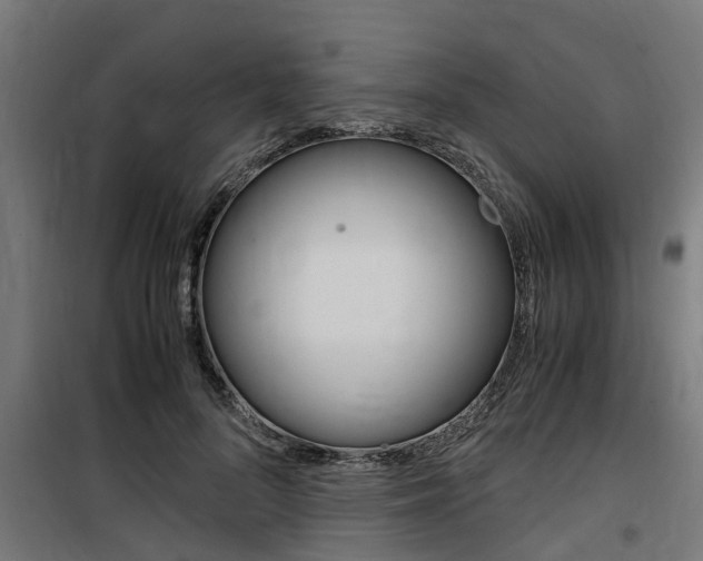 X0000100760696200806190909