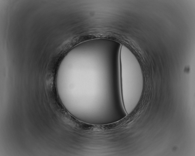 X0000100760697200806190909