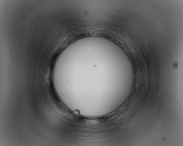 X0000100760698200806190909