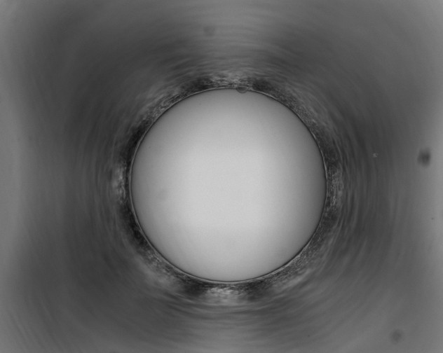 X0000100760699200806190909