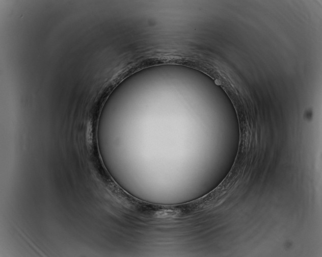 X0000100760700200806190909