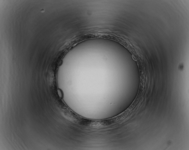 X0000100760704200806190909