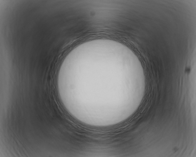 X0000100760705200806190909