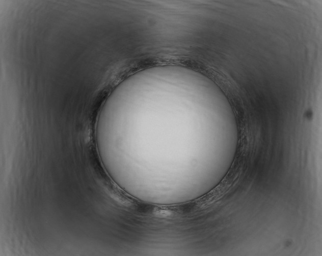 X0000100760706200806190909