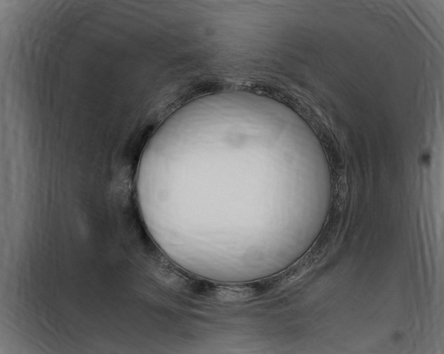 X0000100760707200806190909