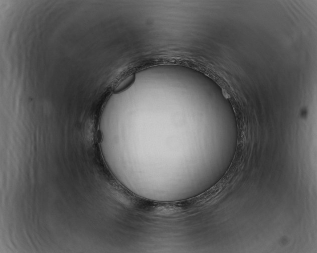 X0000100760708200806190909