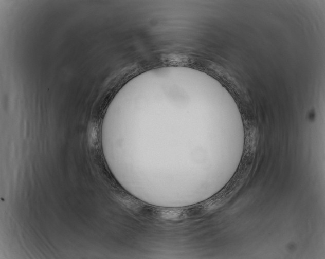 X0000100760709200806190909