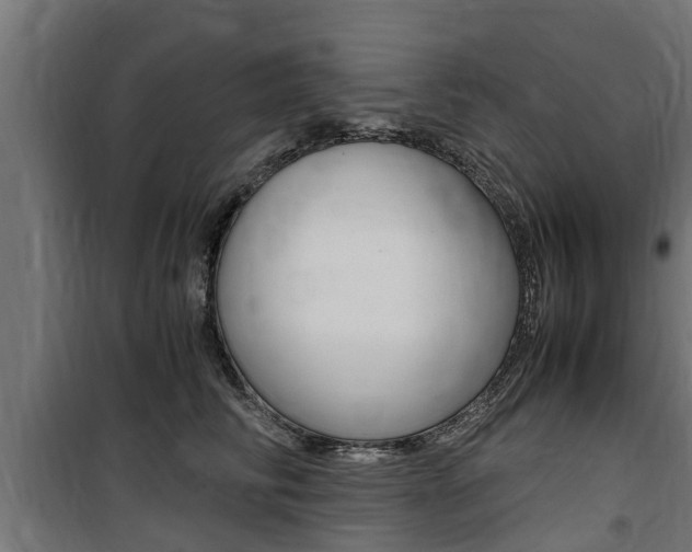 X0000100760710200806190909