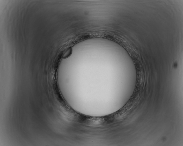 X0000100760711200806190909