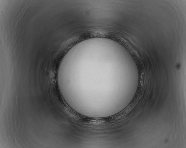 X0000100760714200806190909