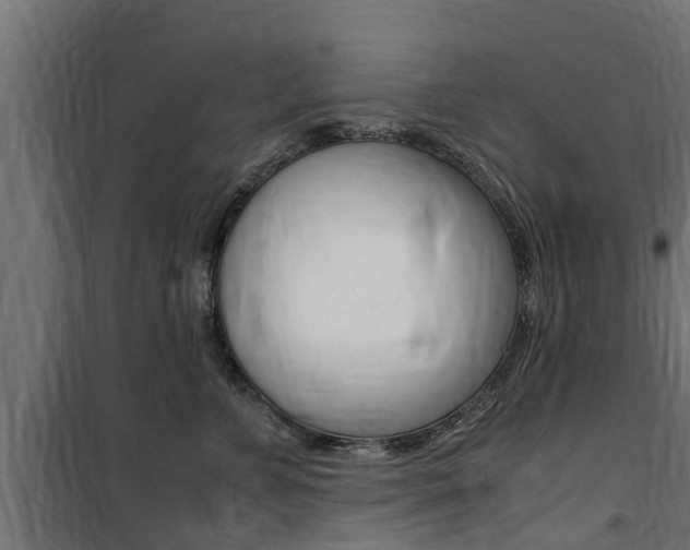 X0000100760715200806190909