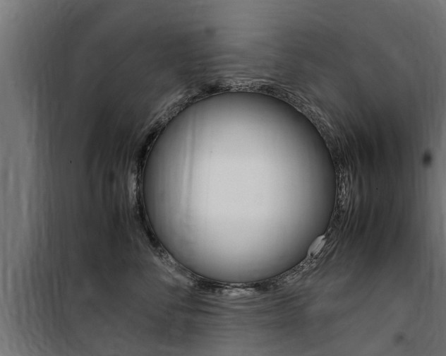 X0000100760716200806190909