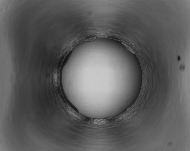 X0000100760720200806190909