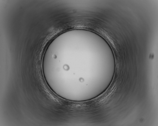 X0000100760721200806190908