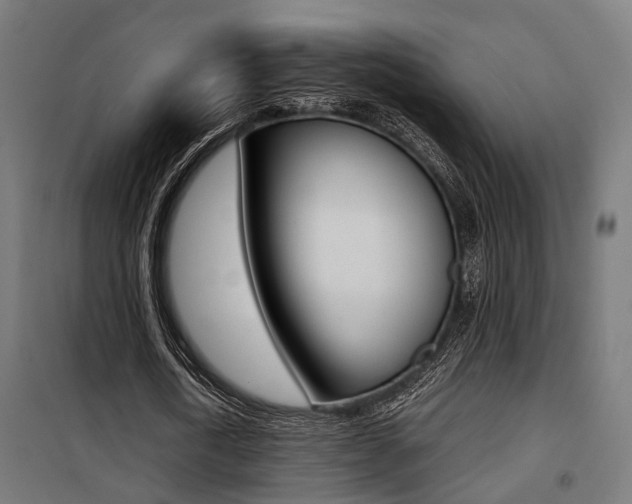 X0000100760722200806190908