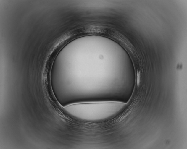 X0000100760723200806190908