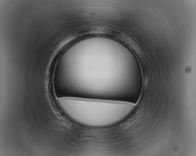 X0000100760724200806190908