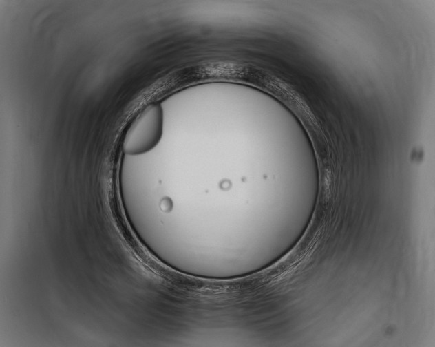 X0000100760725200806190908