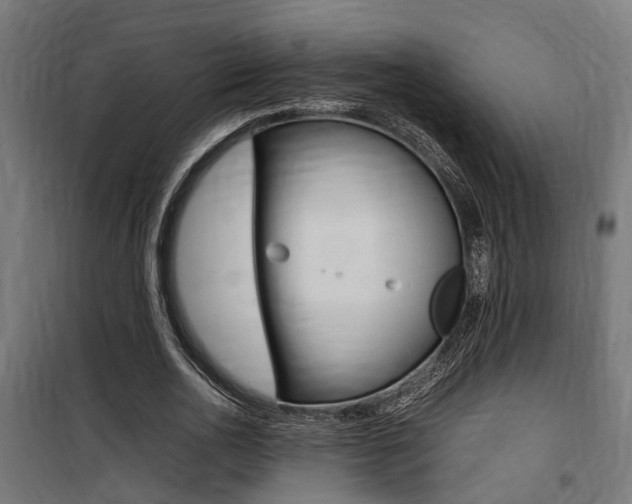 X0000100760726200806190908