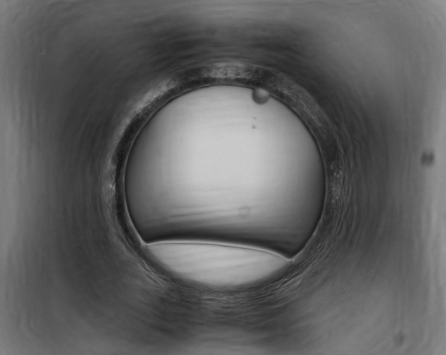 X0000100760727200806190908