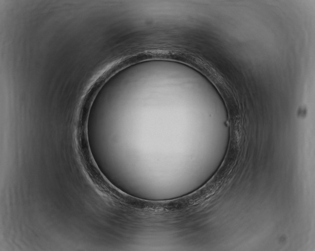 X0000100760728200806190908