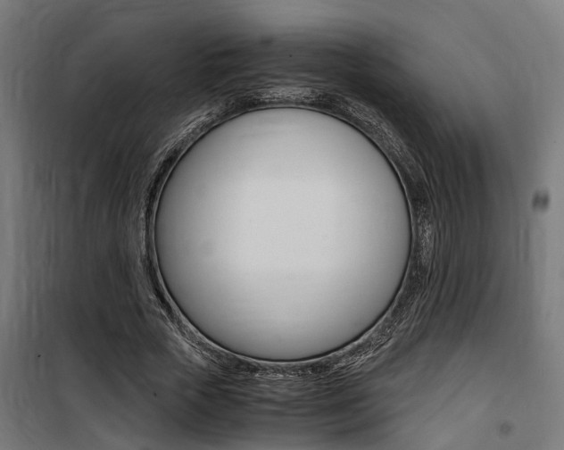 X0000100760729200806190908