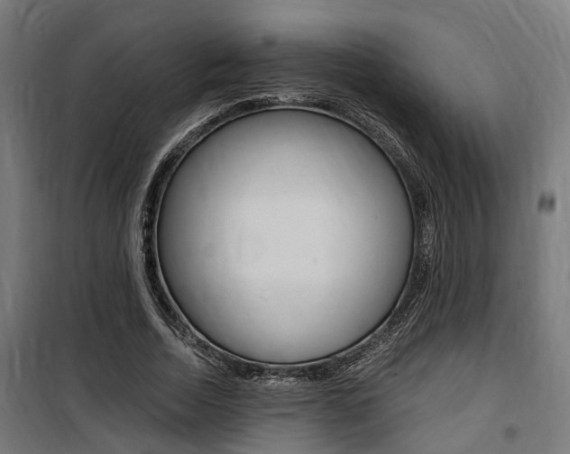 X0000100760730200806190908