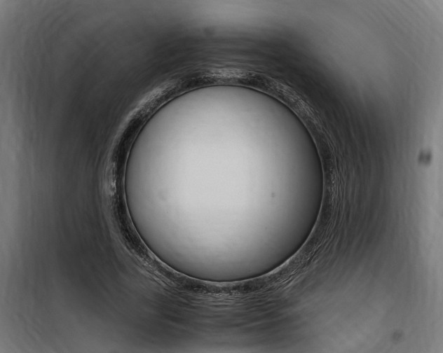 X0000100760731200806190908