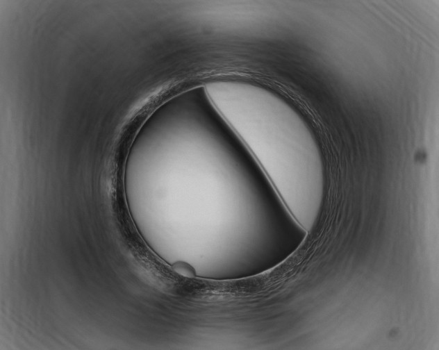 X0000100760732200806190908