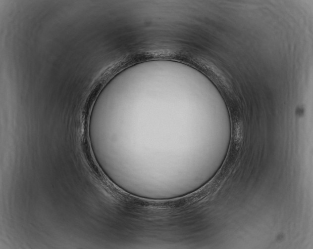 X0000100760733200806190908