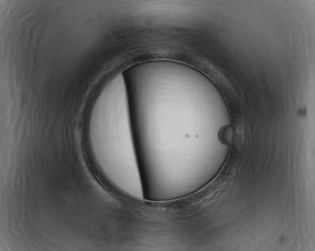 X0000100760734200806190908