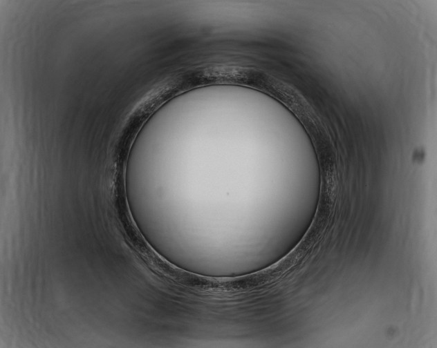 X0000100760735200806190908