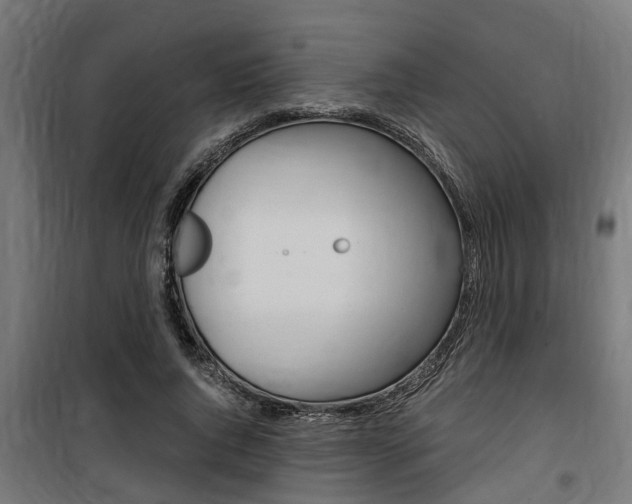 X0000100760736200806190908