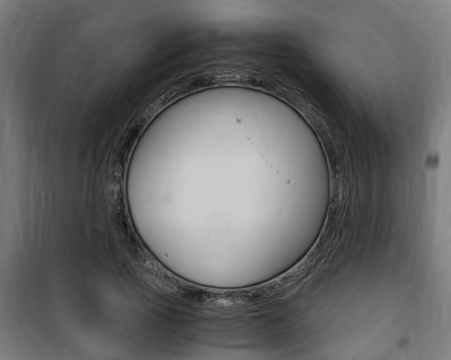 X0000100760737200806190908