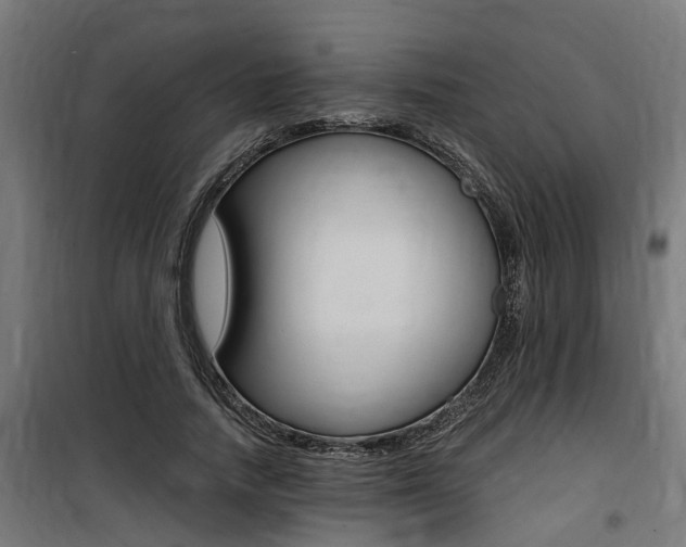 X0000100760738200806190908