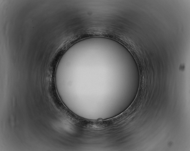 X0000100760739200806190908