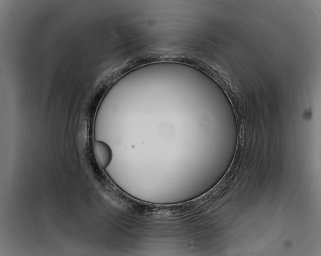 X0000100760740200806190908