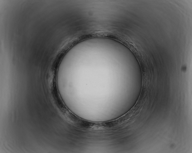 X0000100760742200806190908