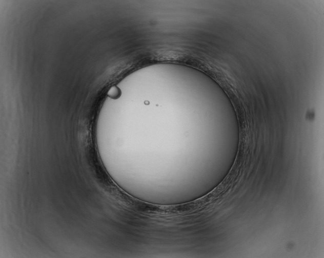 X0000100760743200806190908